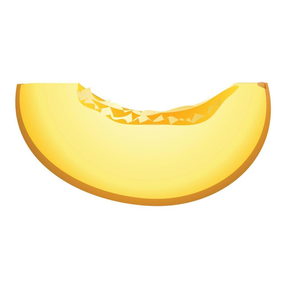 Sweet melon icon cartoon vector. Cantaloupe fruit vector