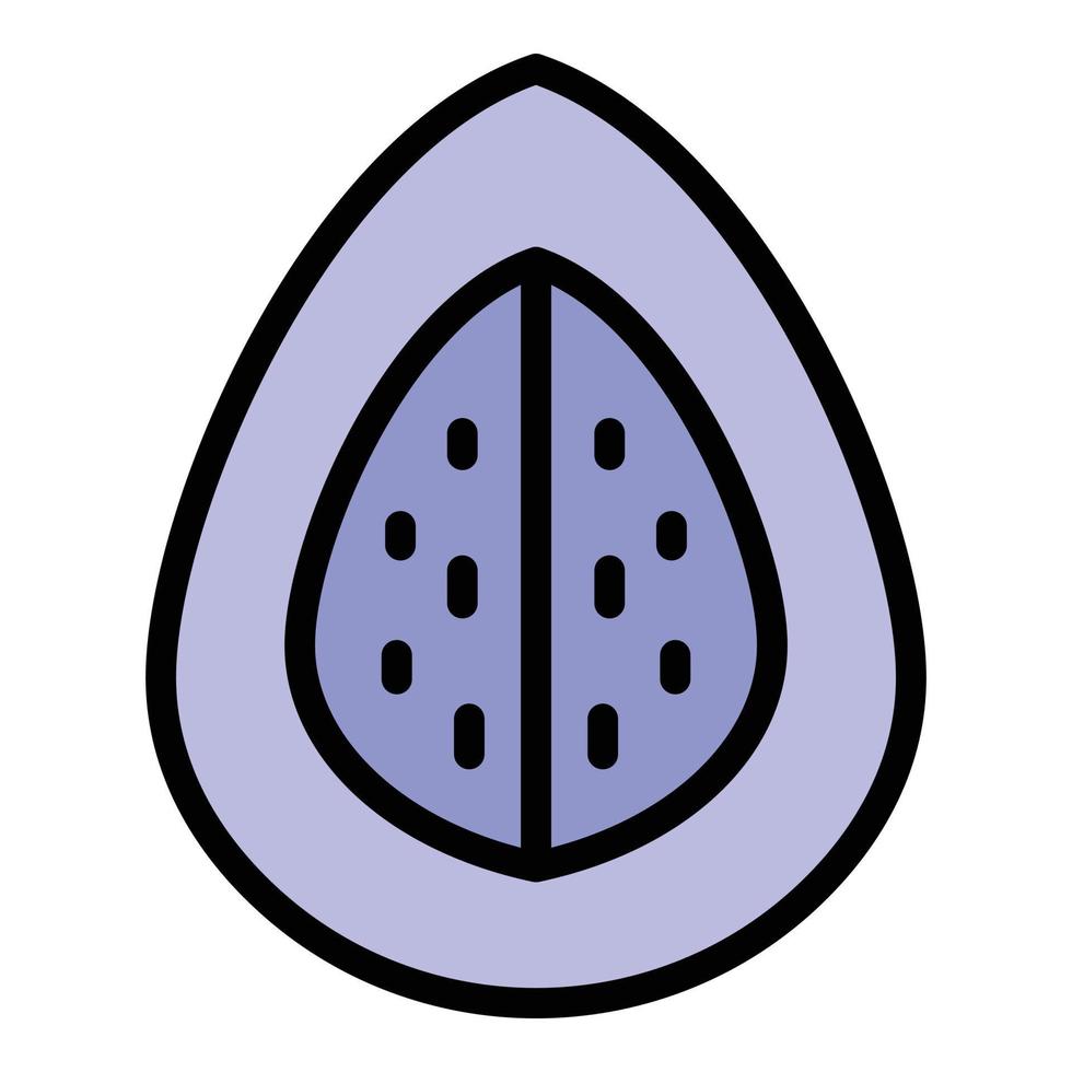 Diet fig icon color outline vector