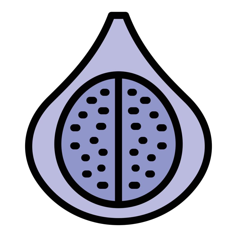 Organic fig icon color outline vector