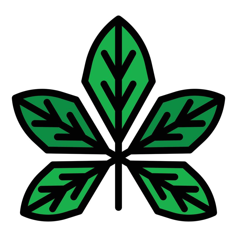 Leaf chestnut icon color outline vector