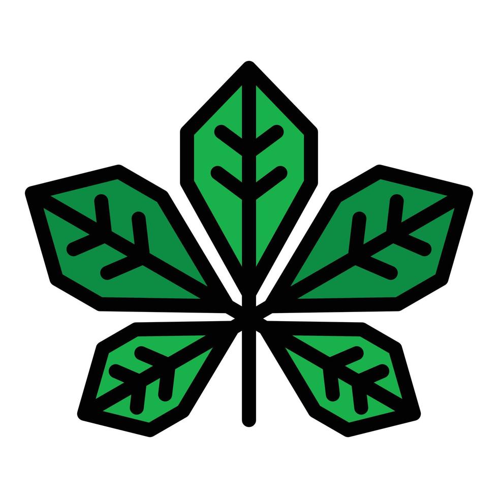 vector de contorno de color de icono de hoja de castaño botánico