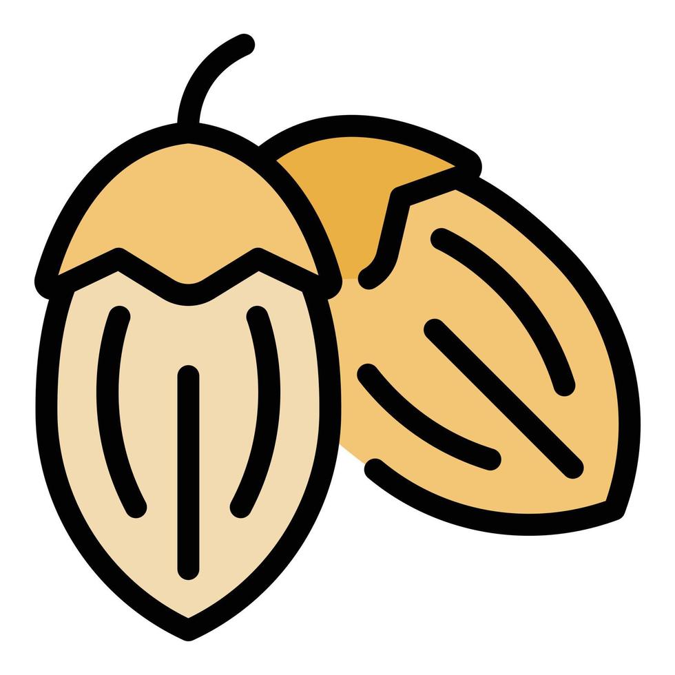 Care jojoba nut icon color outline vector