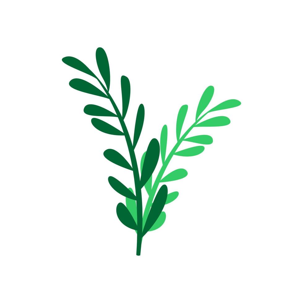 Tropical plant vector design