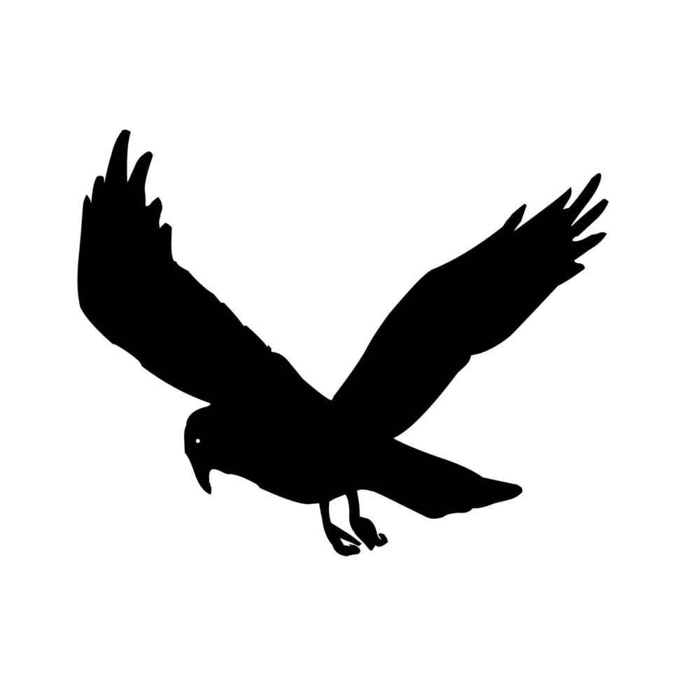 águila pájaro silueta vector diseño