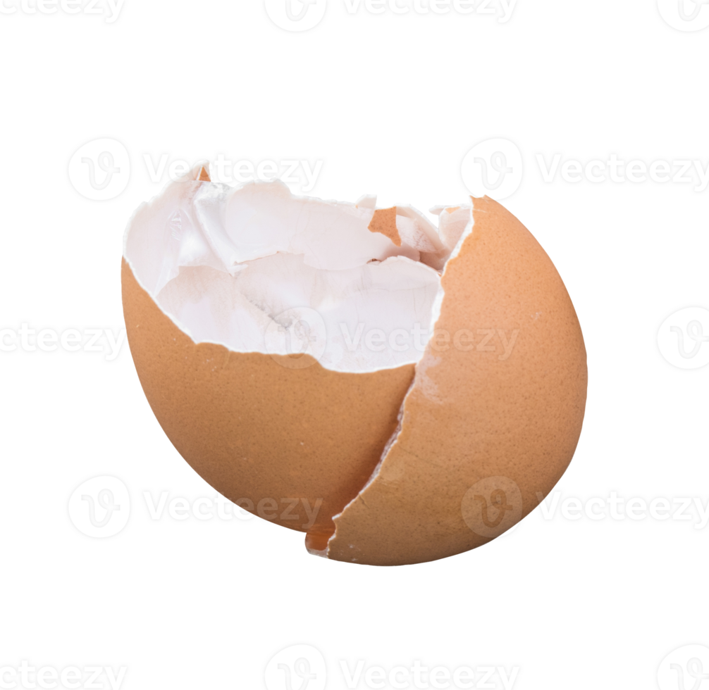 Egg shell cracked and broke parts isolated png