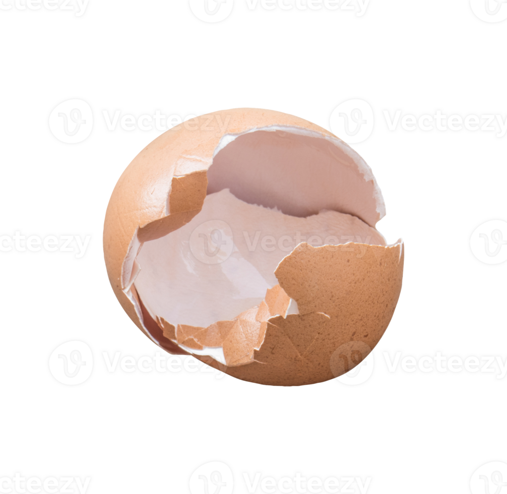 Egg shell cracked and broke parts isolated png