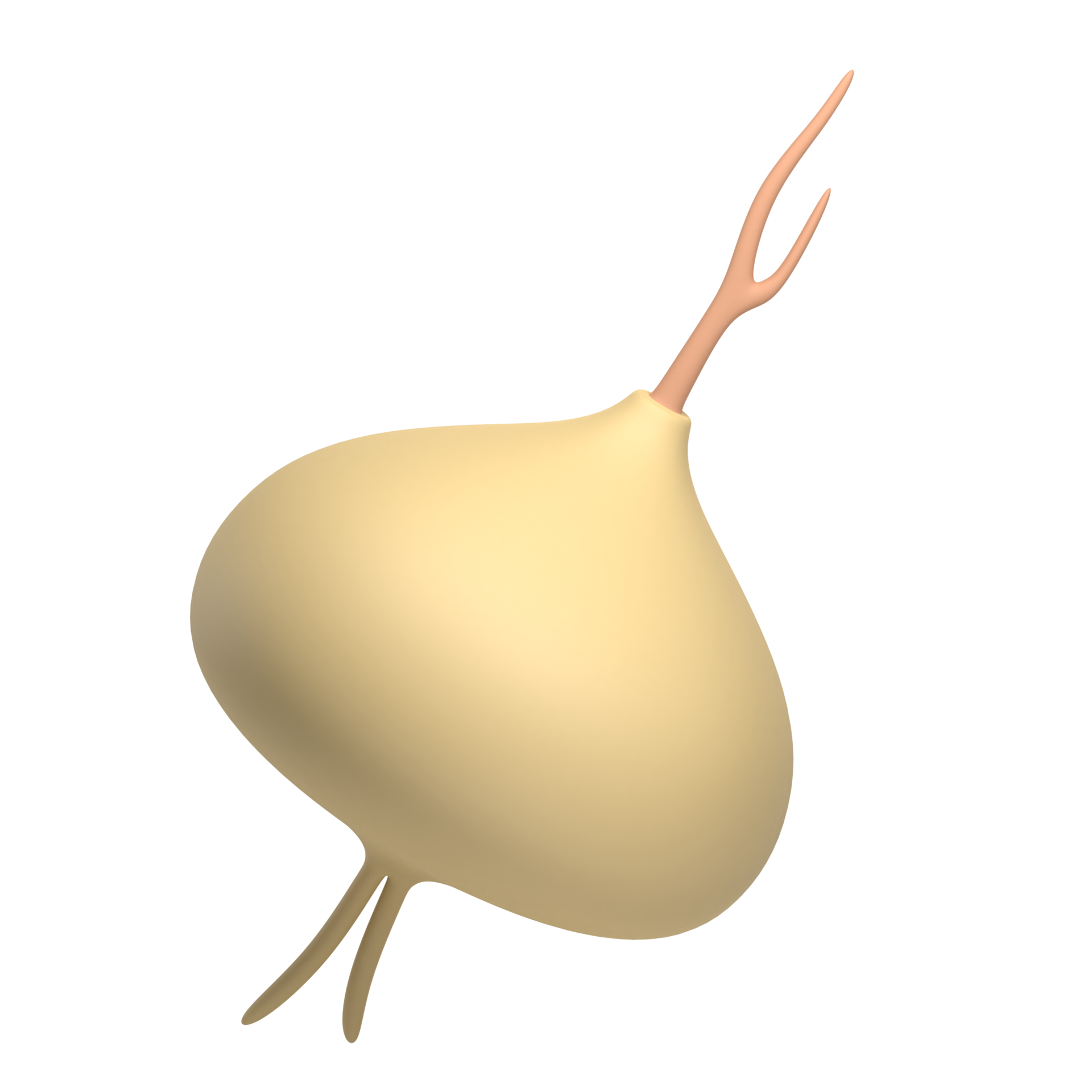 yam bean 3d icon 15123761 PNG