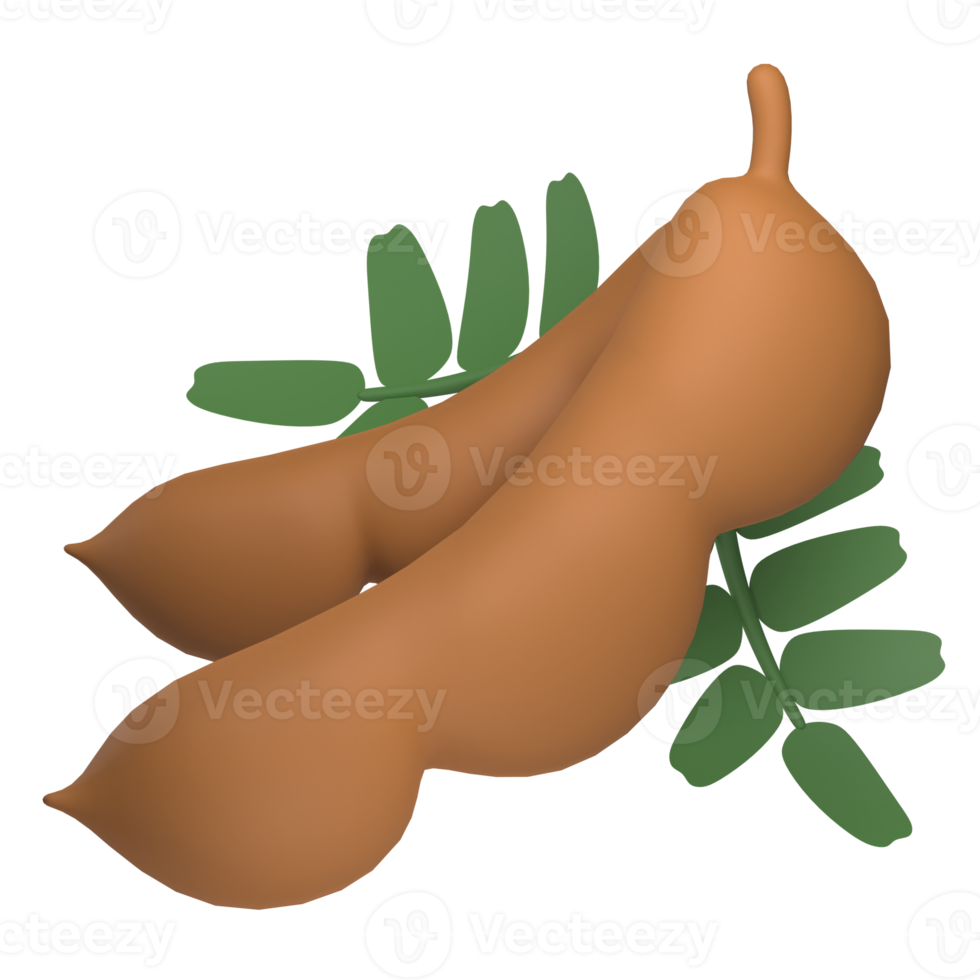 tamarind 3d icon png