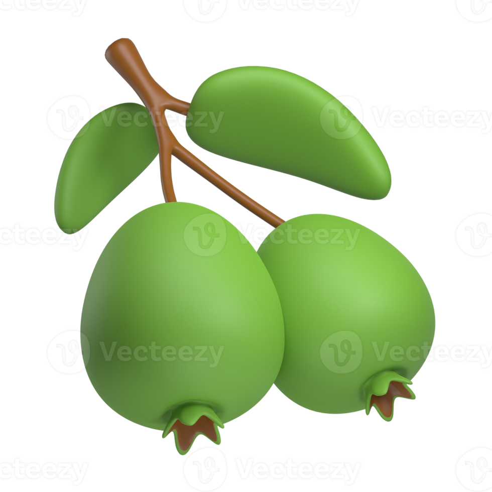feijoa fruit 3d icon png