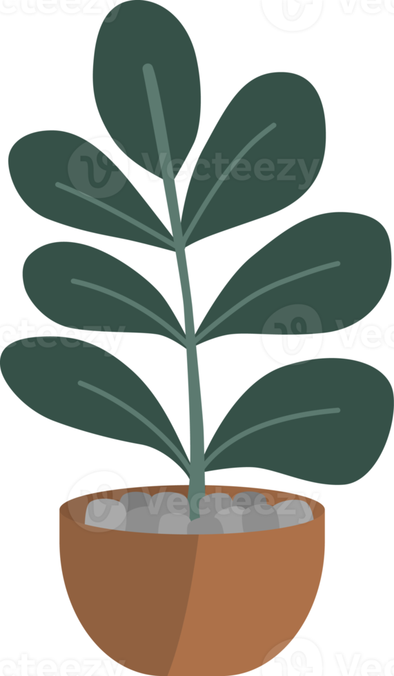 plantes en pot de style minimal. png