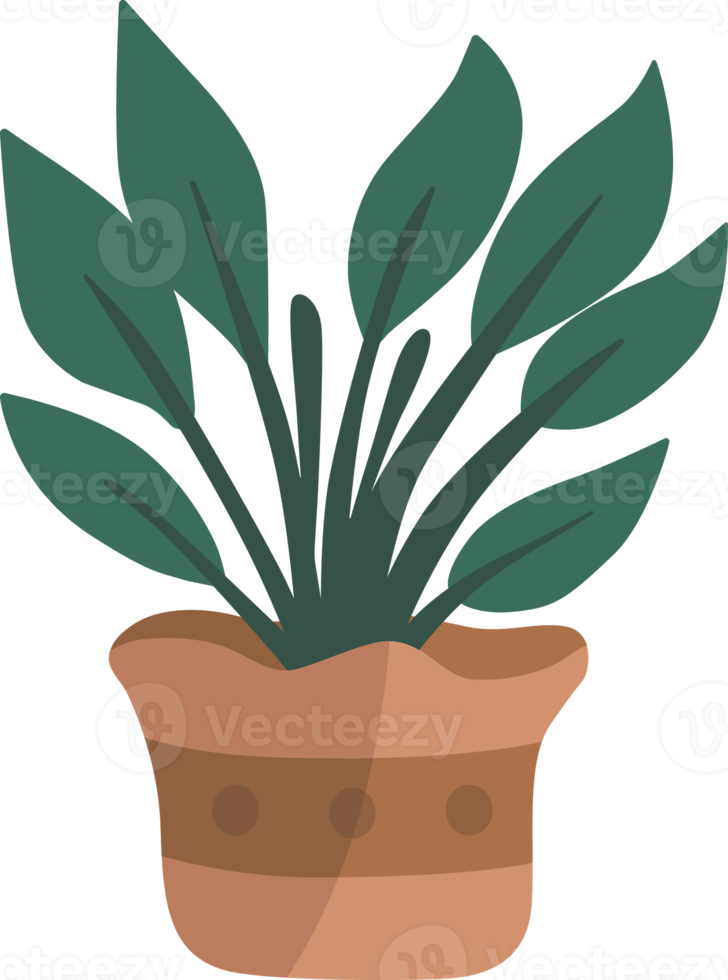 plantes en pot. png
