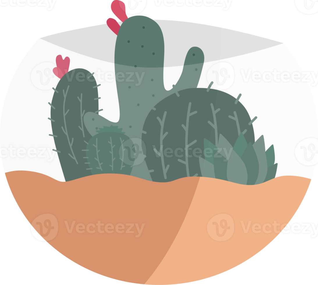 kaktus växt i en minimalistisk stil pott. png