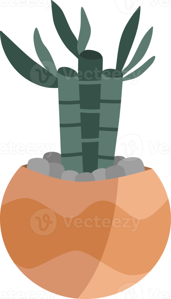 cactus plant in a minimalist style pot. png