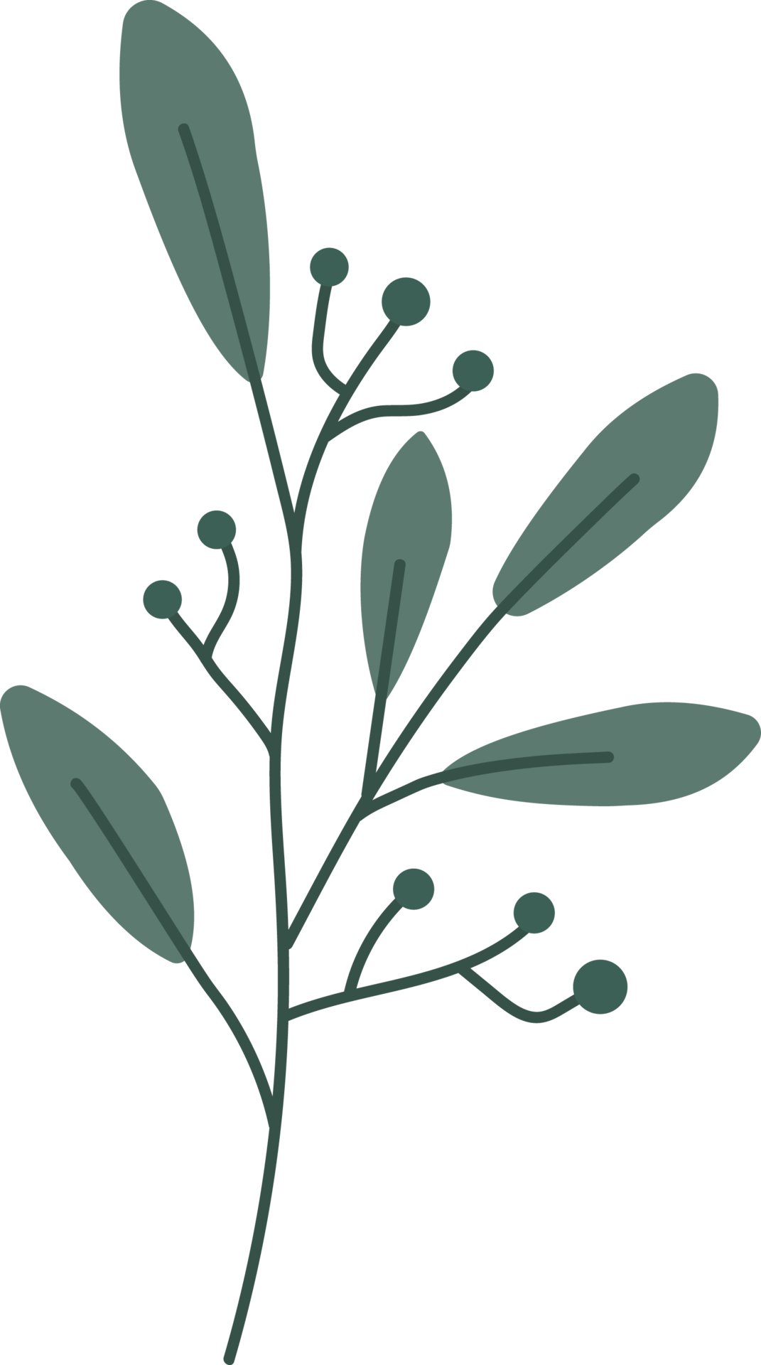 hand-drawn-green-leaf-shape-15124171-png