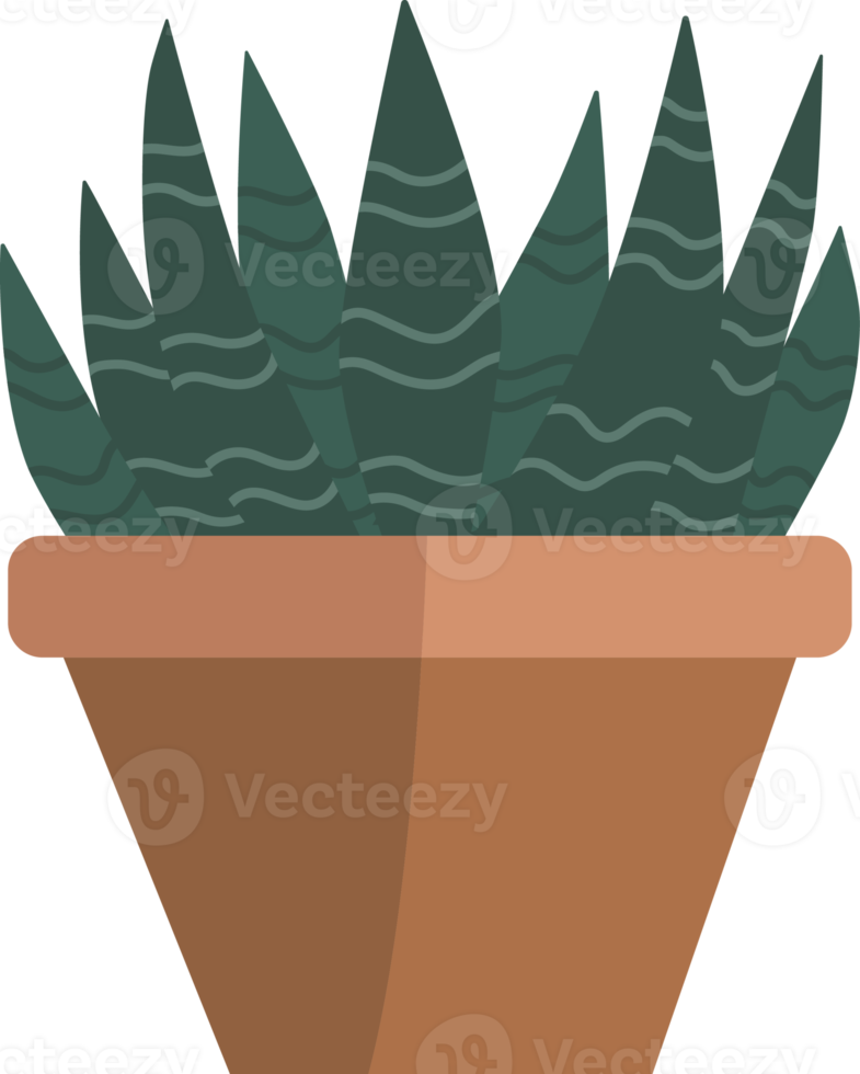 Green plants in pots. png