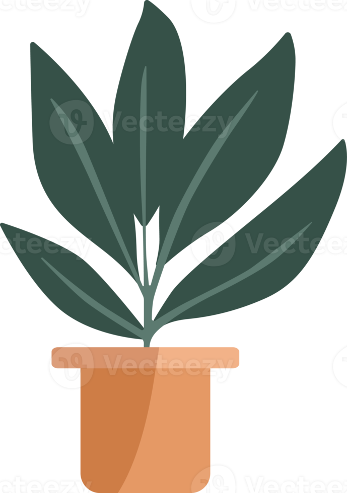 Plants in potted. png