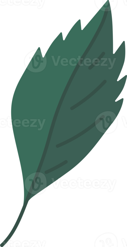 hand-drawn-leaf-design-elements-15124181-png