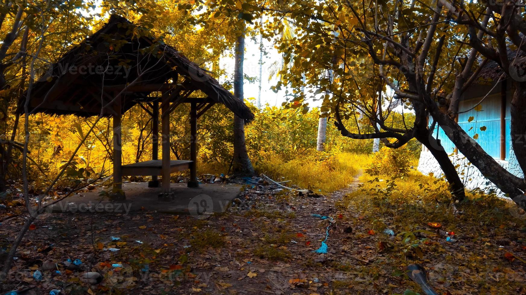 abandoned hut and abandoned house in the forest with yellow leaves on kalimuak island, Belitung photo