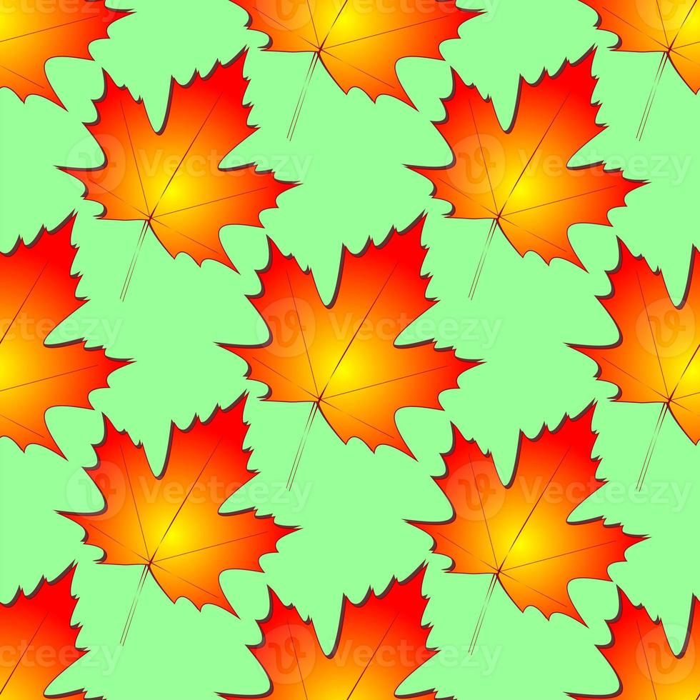 seamless symmetrical pattern of autumn maple leaves on a green background, texture, design photo