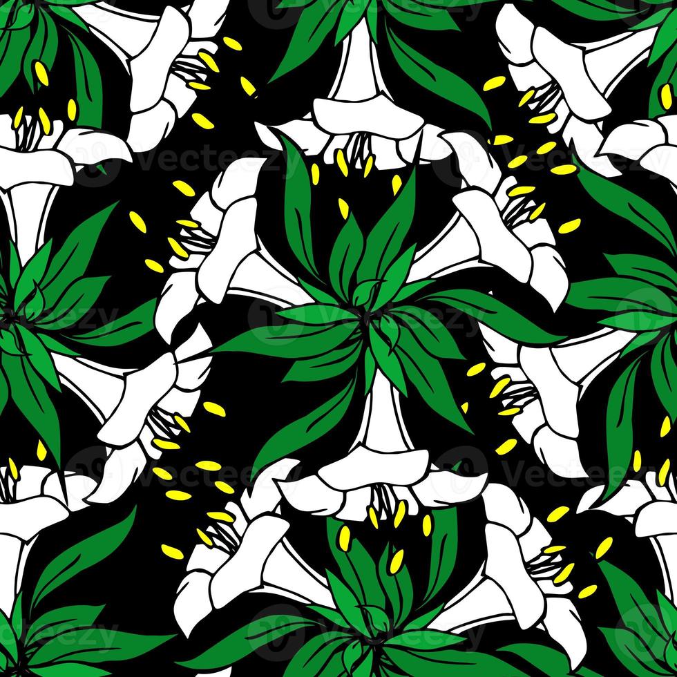 seamless contour pattern of large white graphic flowers on a black background, texture, design photo