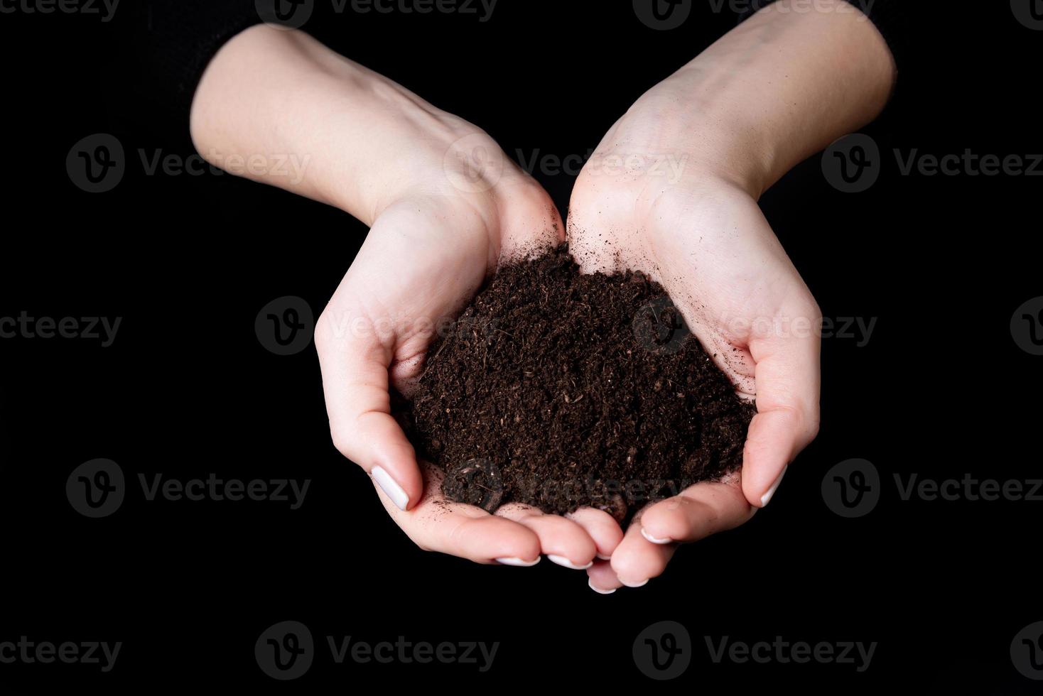 Young small sprout for planting in the ground in the hands, two hands holding for a young green plant, planting tree, love nature, save the world, ecology, environmental protection photo