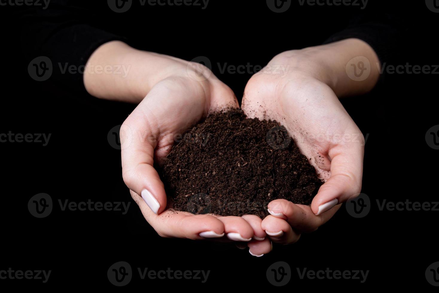 Young small sprout for planting in the ground in the hands, two hands holding for a young green plant, planting tree, love nature, save the world, ecology, environmental protection photo