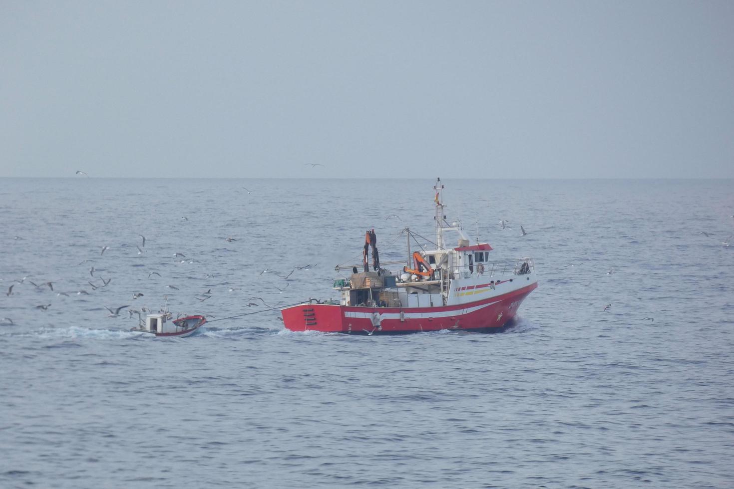 Fishing vessel returning from fishing in the Mediterranean Sea. photo