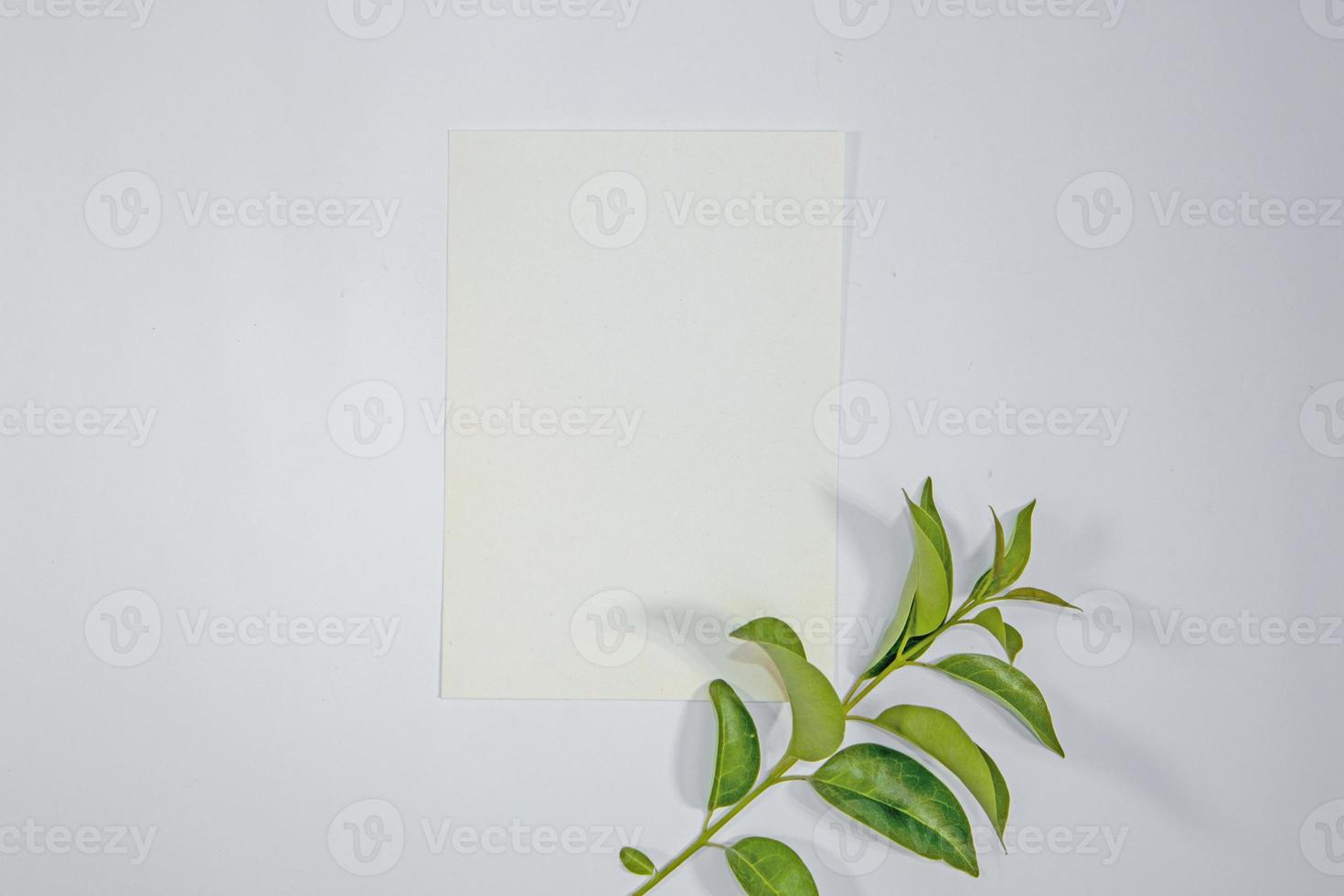 A5 paper greeting card mockup with green leaves on white background photo