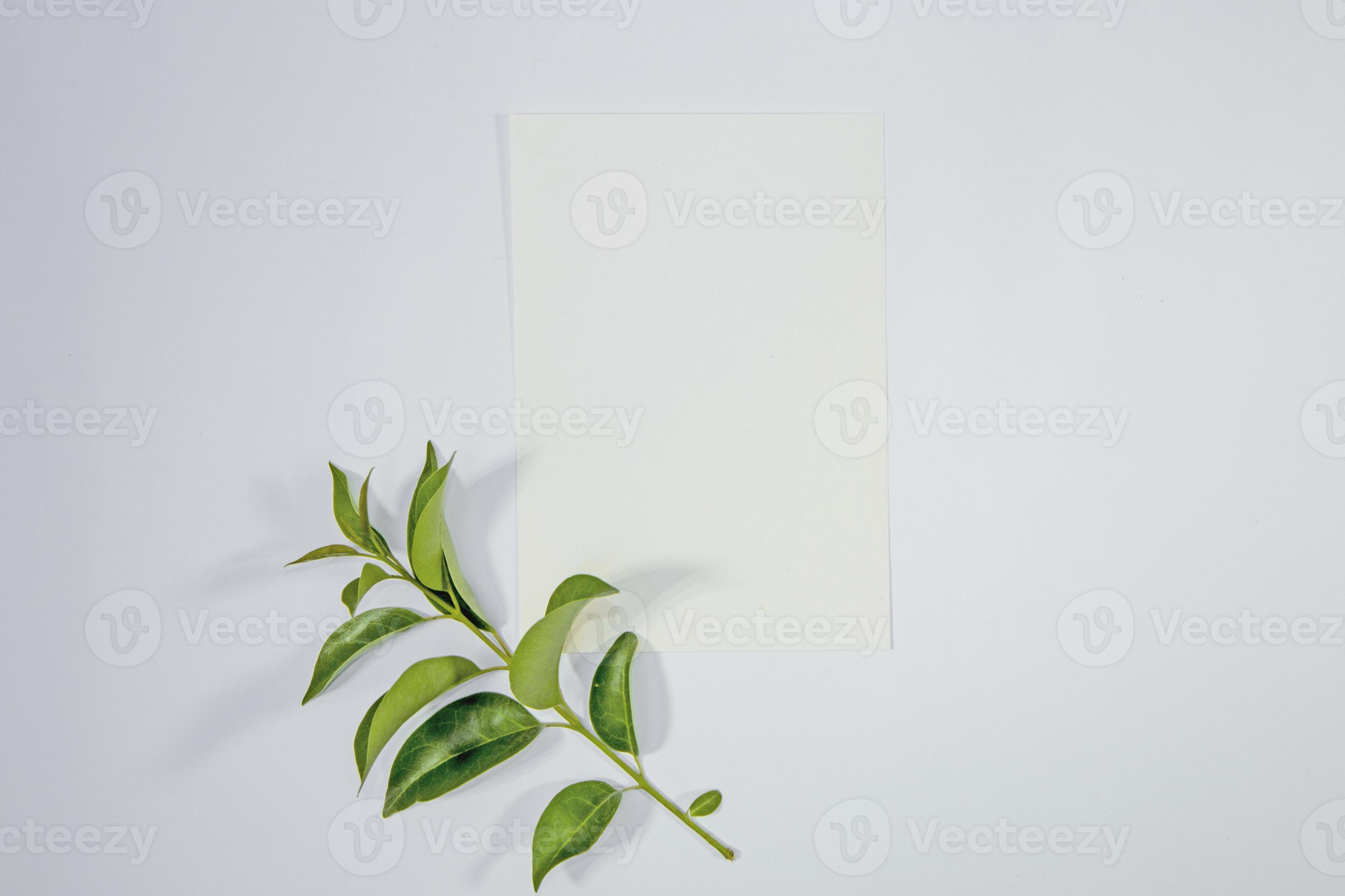 A5 paper greeting card mockup with green leaves on white background