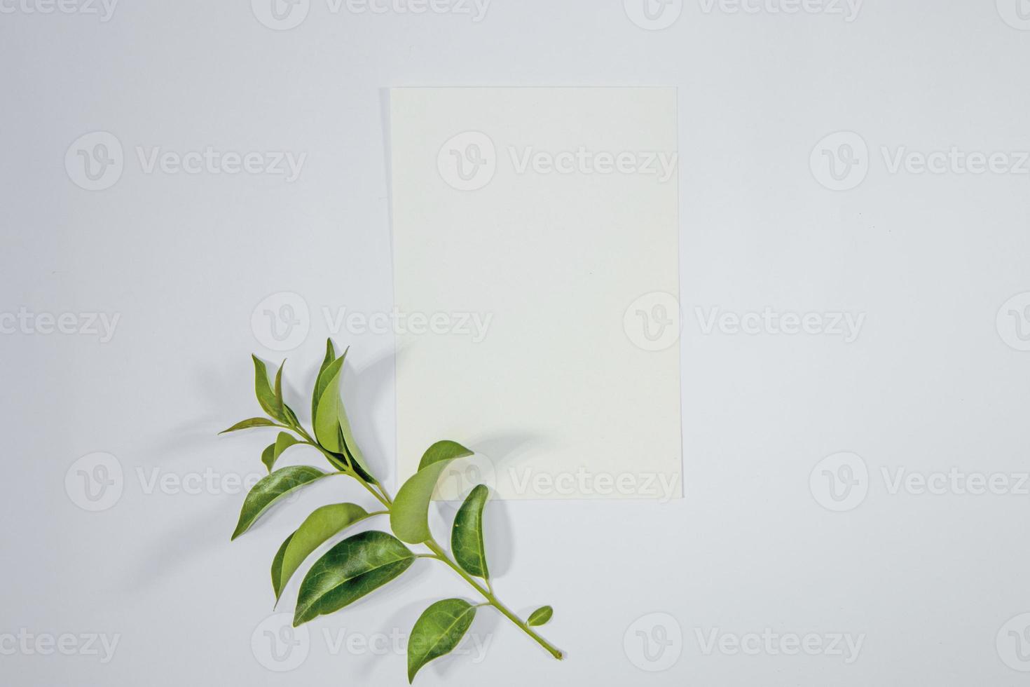 A5 paper greeting card mockup with green leaves on white background photo