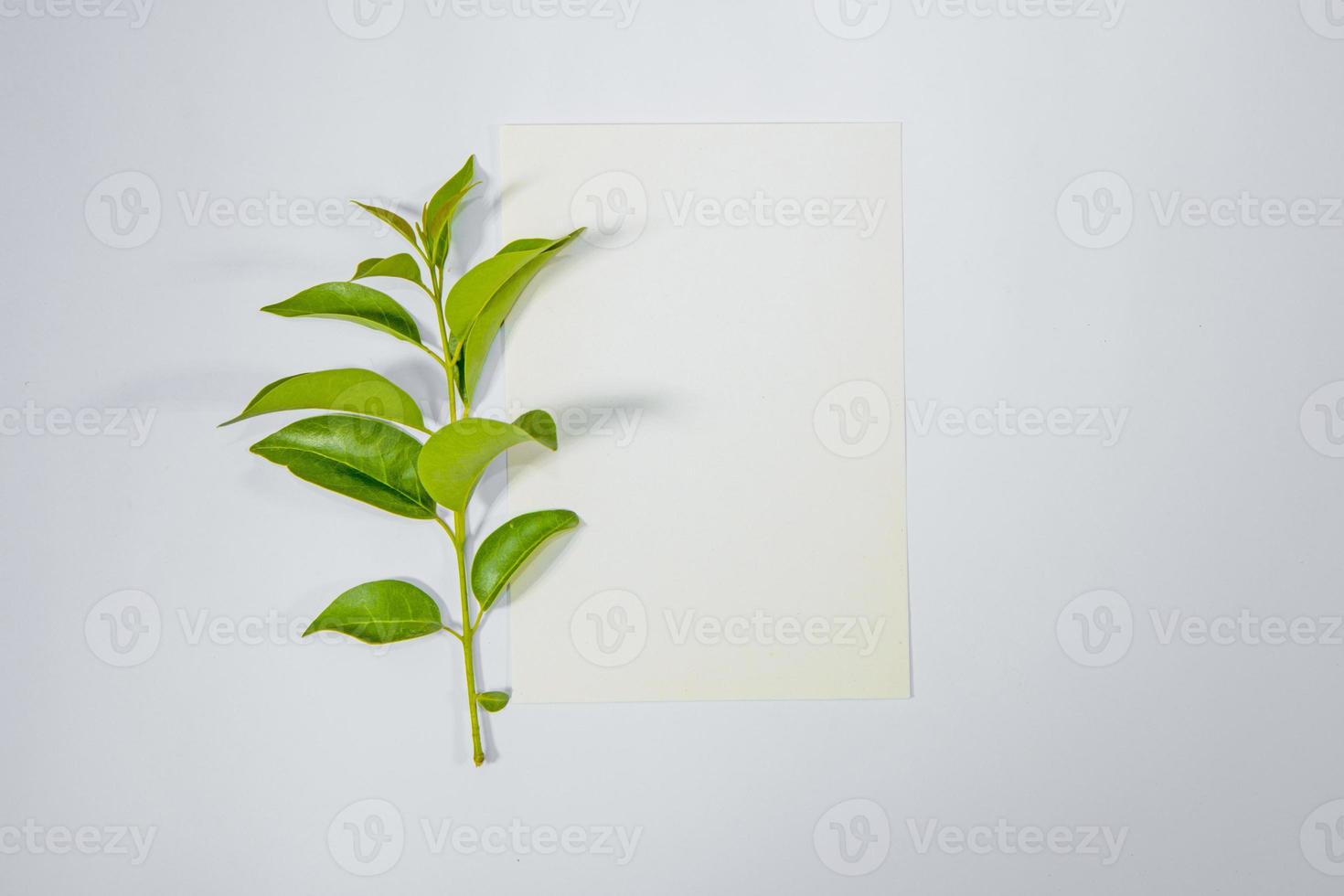A5 paper greeting card mockup with green leaves on white background photo