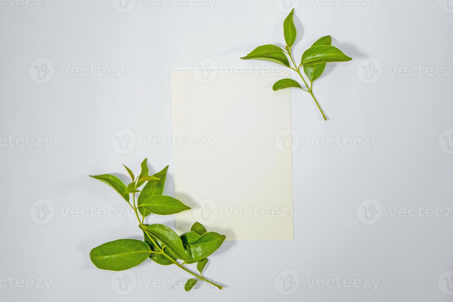 A5 paper greeting card mockup with green leaves on white background photo