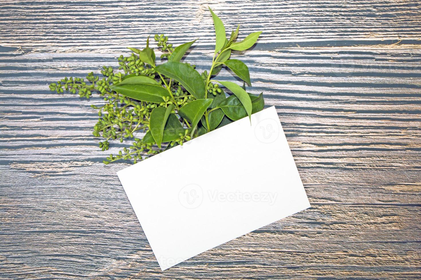 A5 paper greeting card mockup with green leaves on wooden background photo