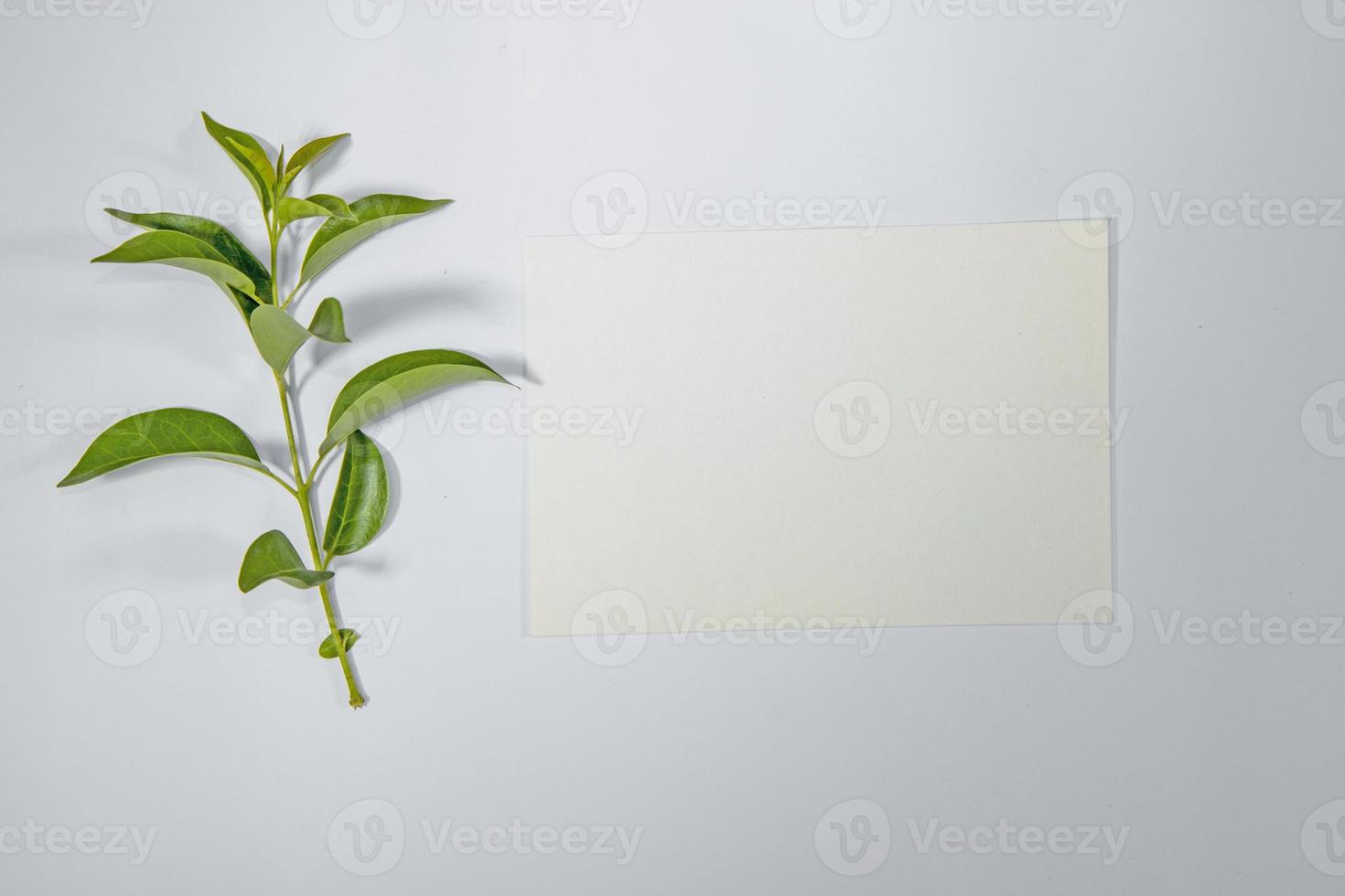 A5 paper greeting card mockup with green leaves on white background photo