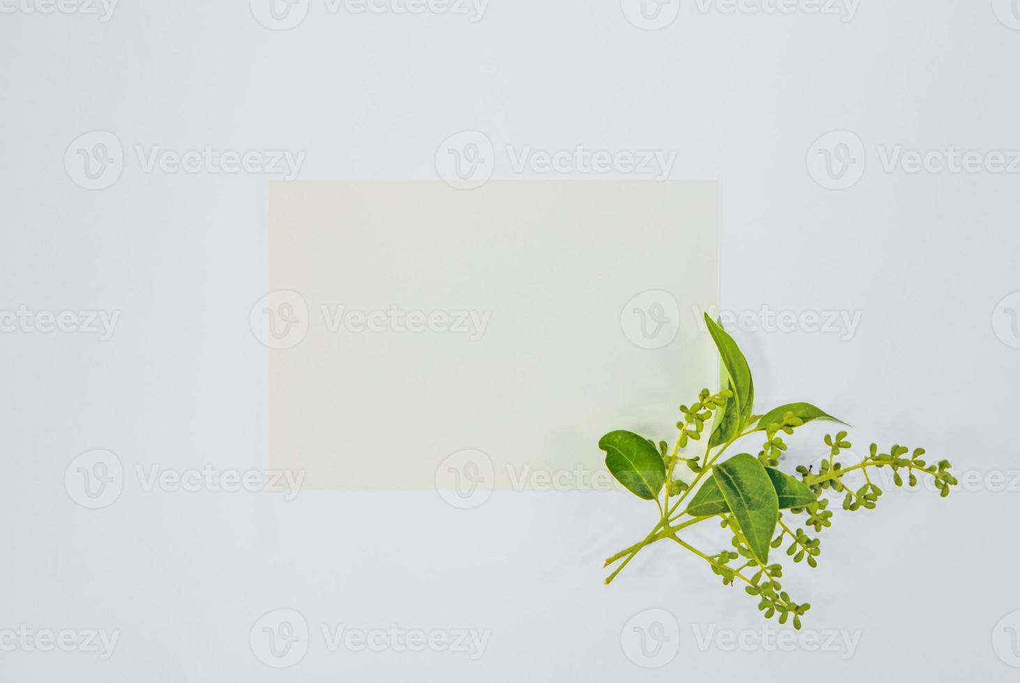 A5 paper greeting card mockup with green leaves on white background photo