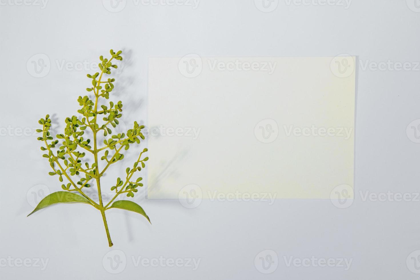 A5 paper greeting card mockup with green leaves on white background photo