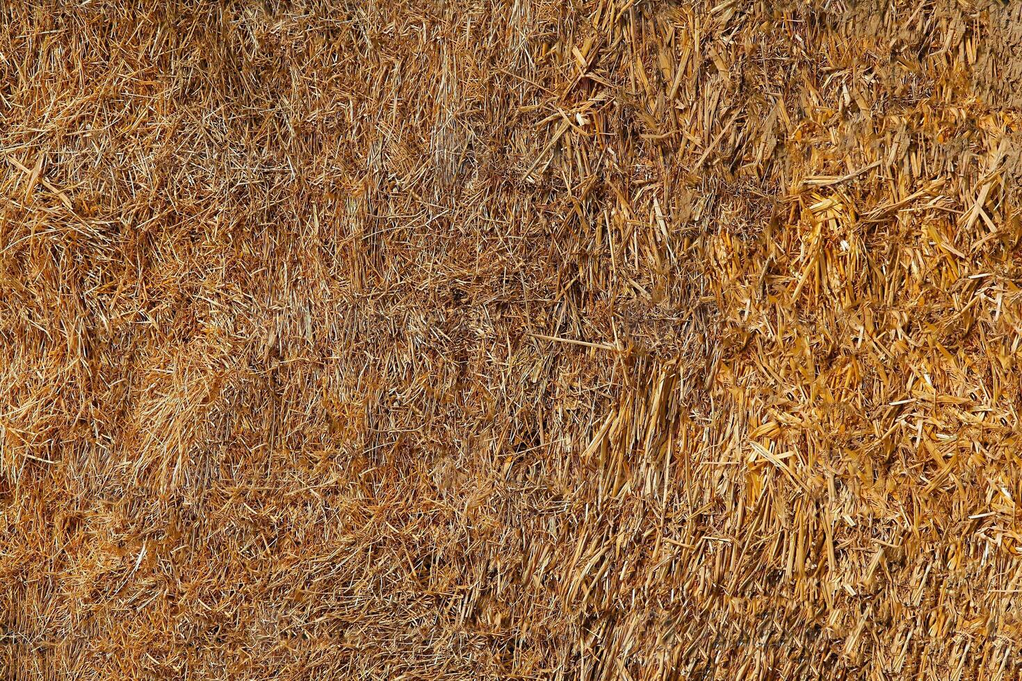 Dry straw yellow in color and compacted into bales 15130070 Stock Photo