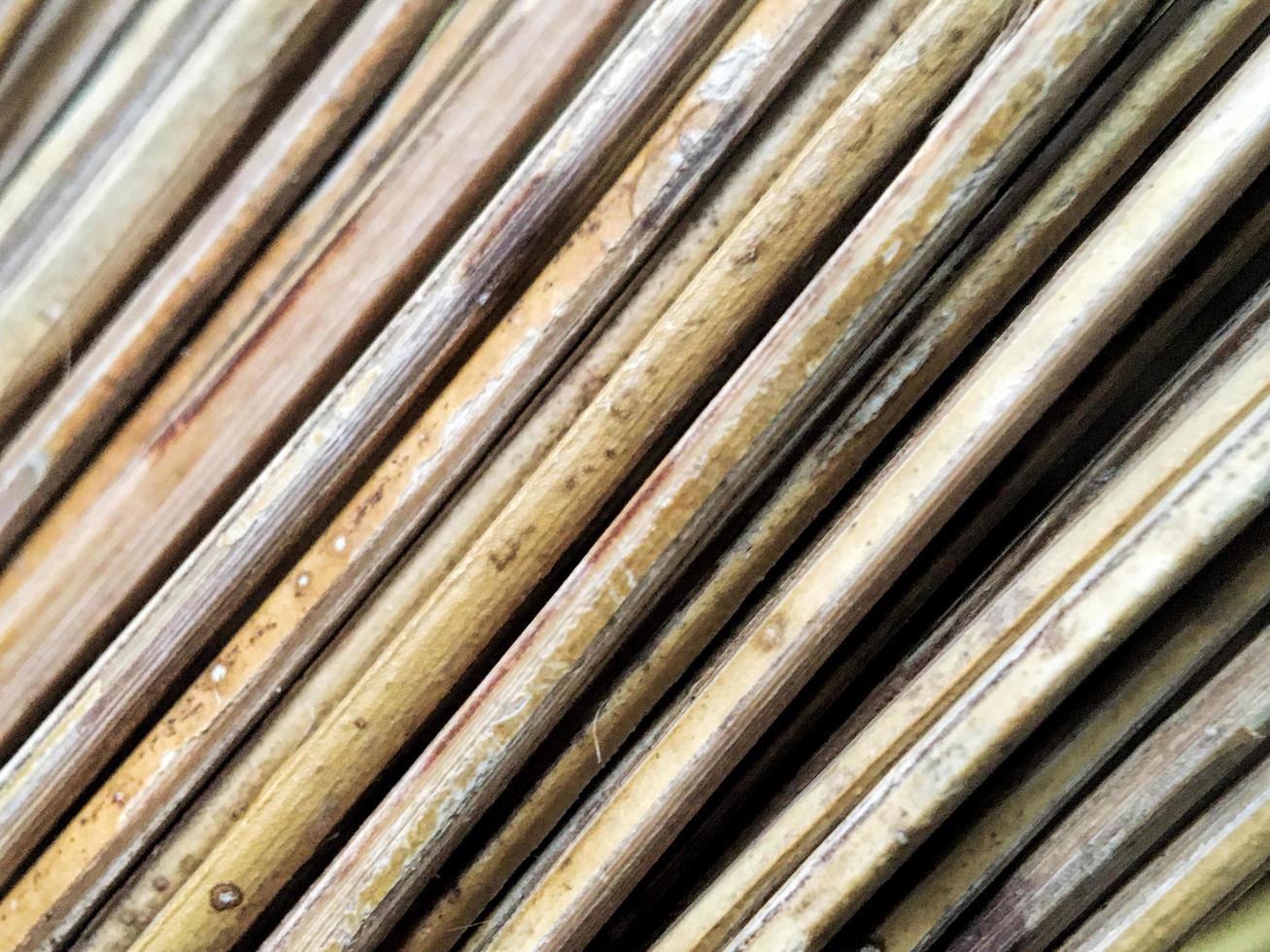 wooden wall, wood texture with natural patterns photo