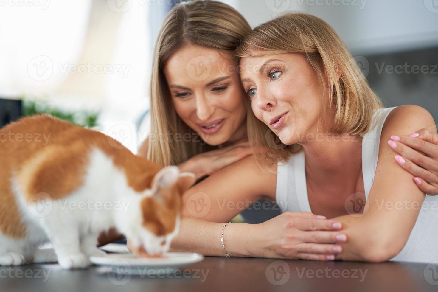 Nice two adult girls in the house with cat photo