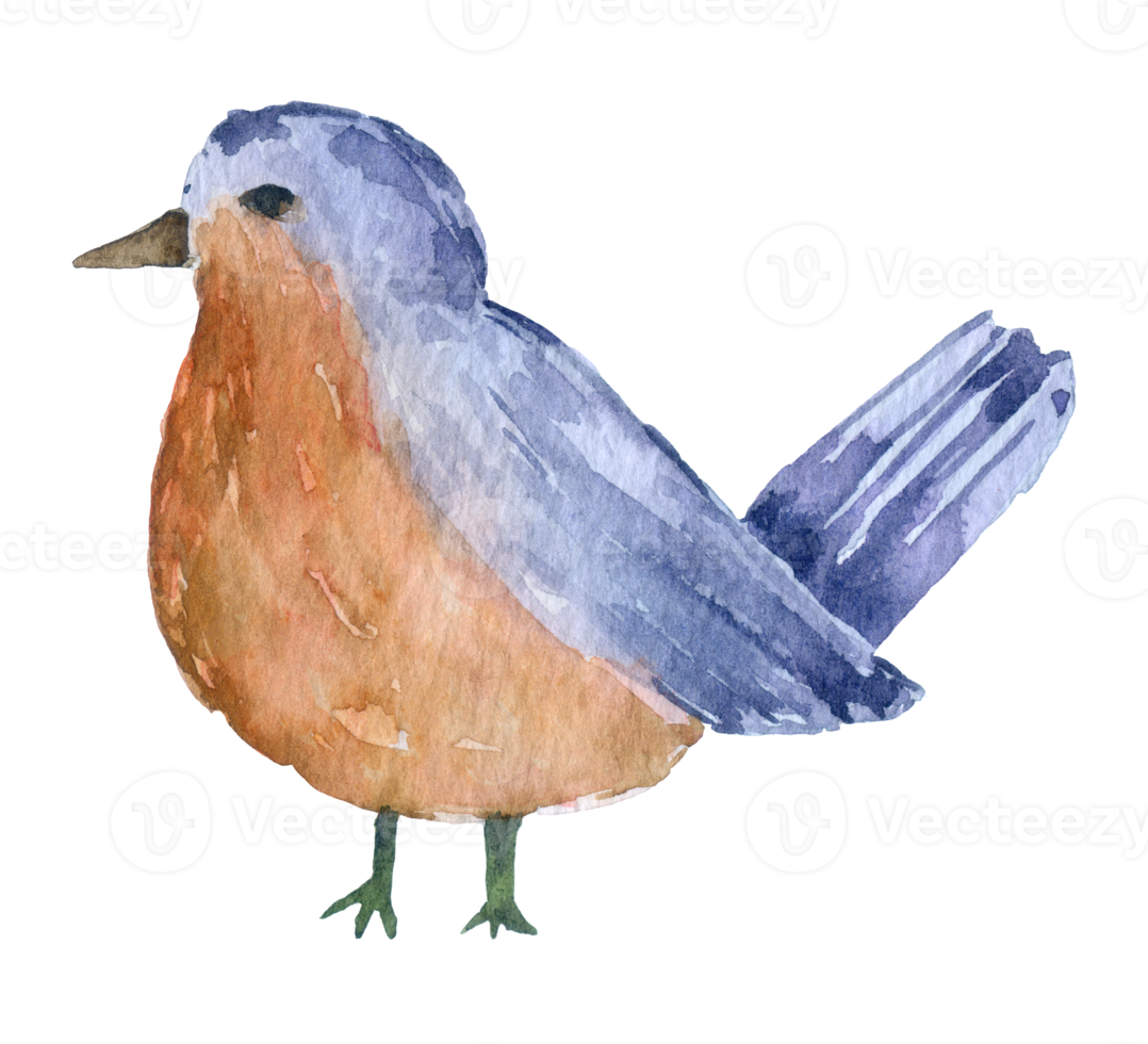 Bird Watercolor animal png