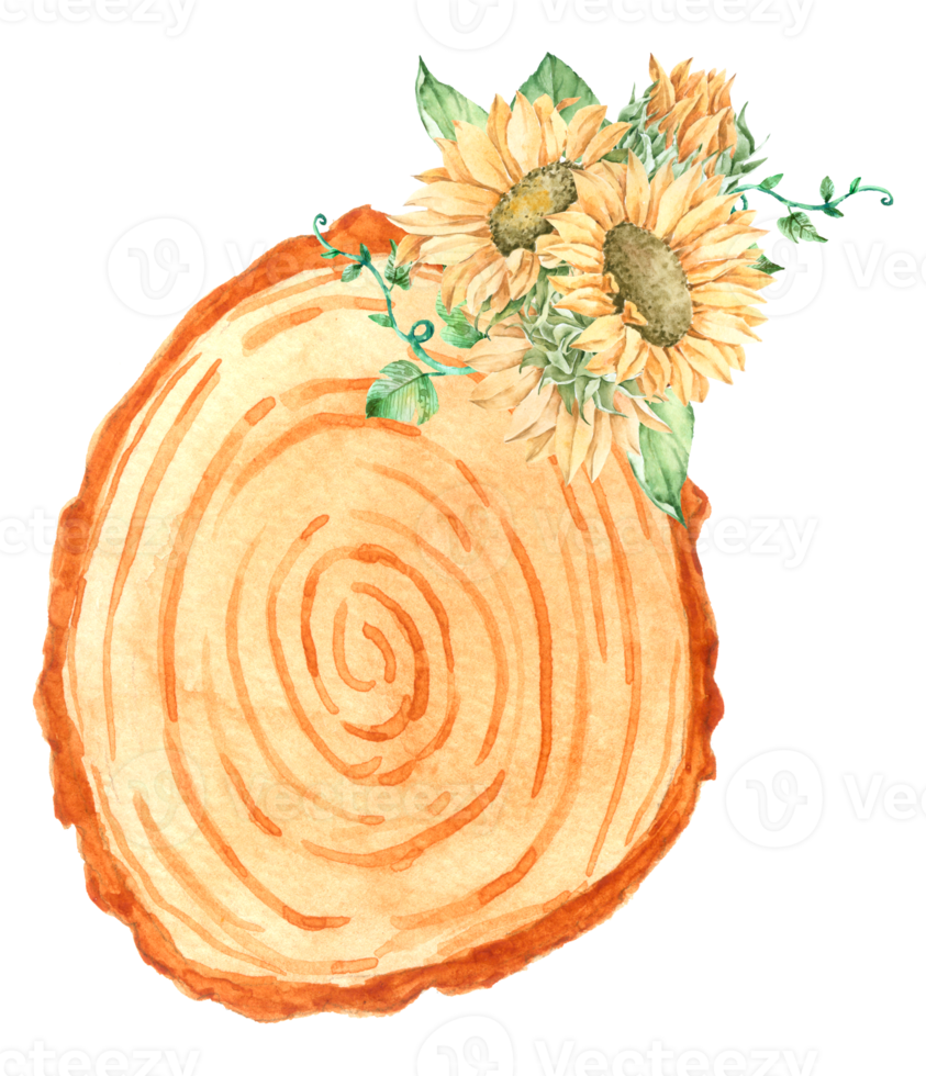 hout met zonnebloem waterverf png