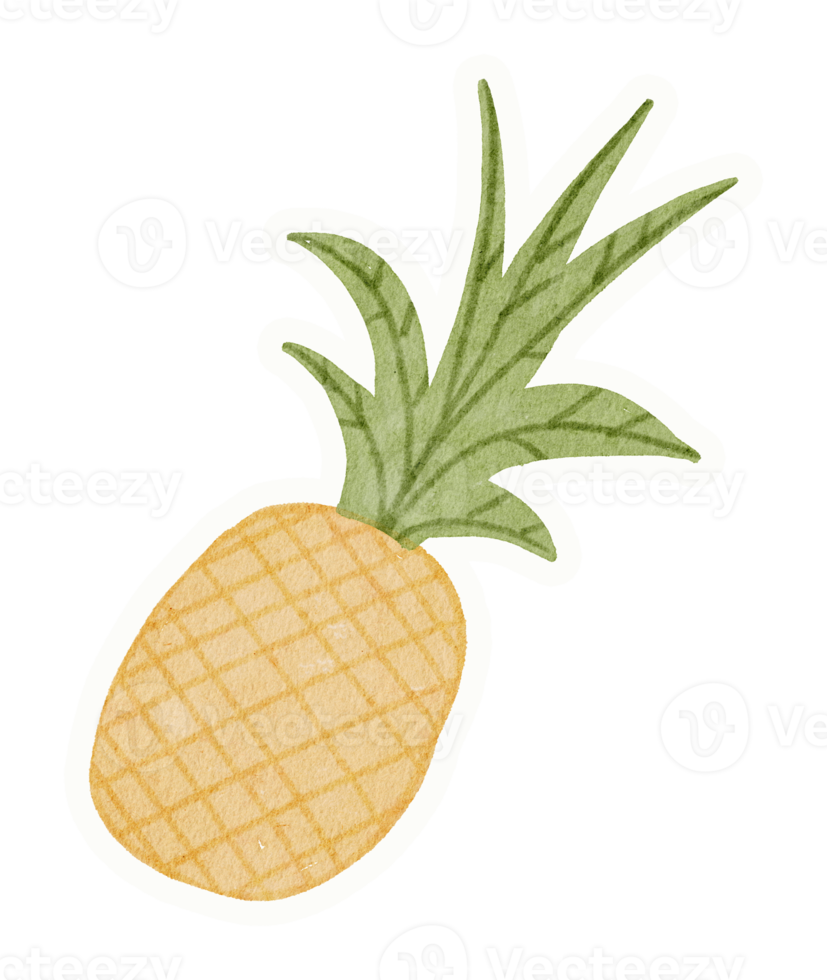 ananas acquerello etichetta png