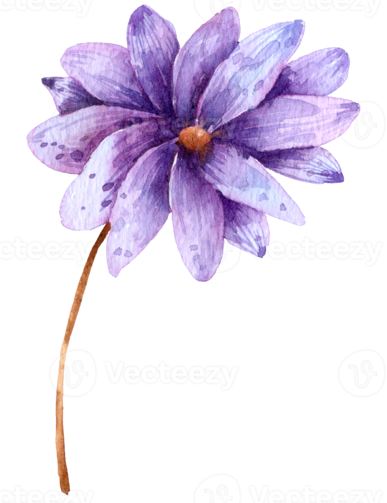 aquarela flor violeta png