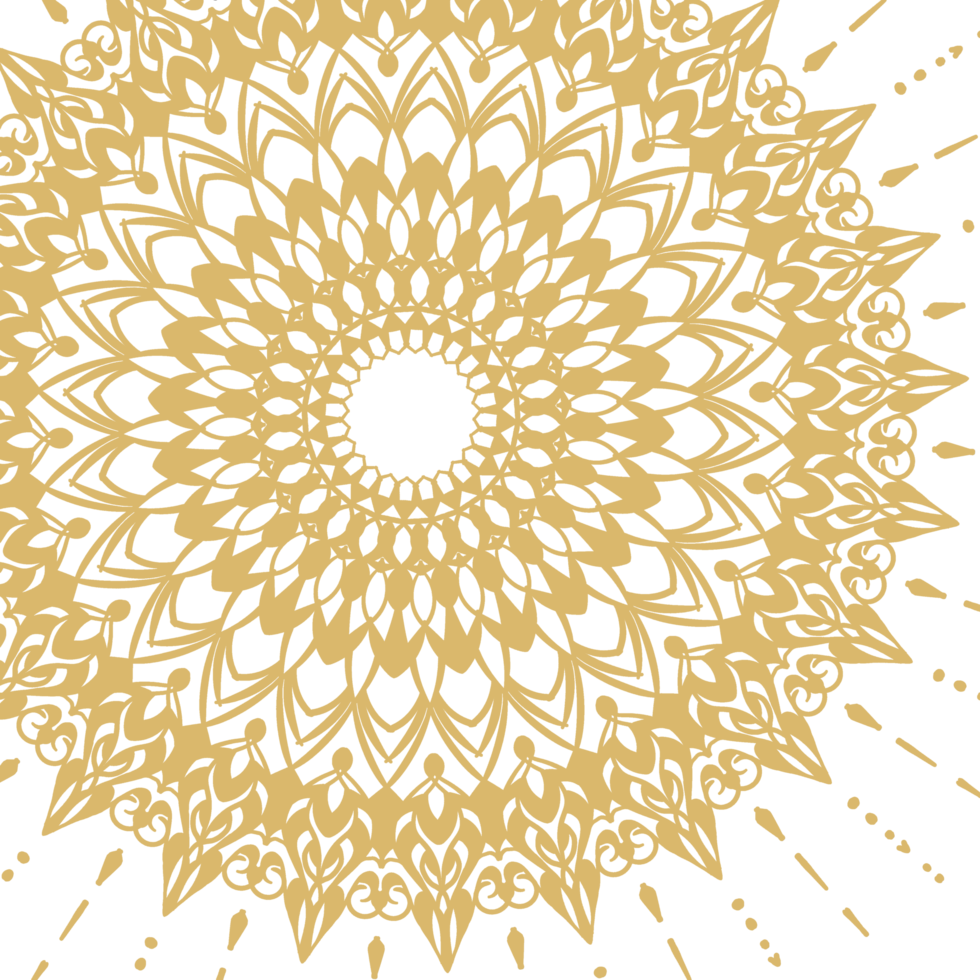 mandalas básicas para colorir para crianças. padrão geométrico de mandalas, mandala quente, flor de arco-íris da vida com lótus, flor da vida em lótus png