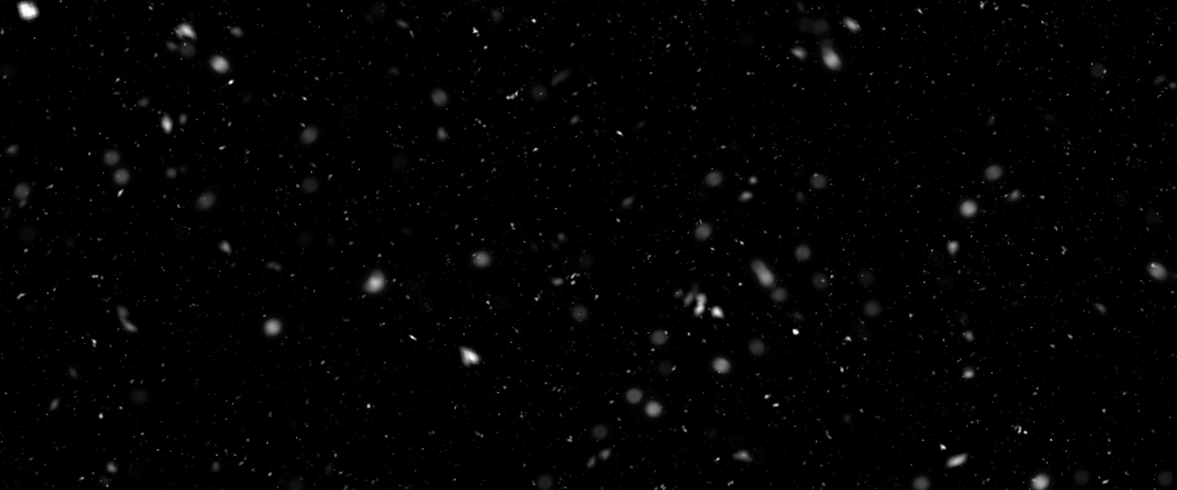 Different realistic falling snow or snowflakes. Falling snow isolated on black background. Winter snowfall illustration. Bokeh lights on black background, flying snowflakes in the air. Snow at night. photo
