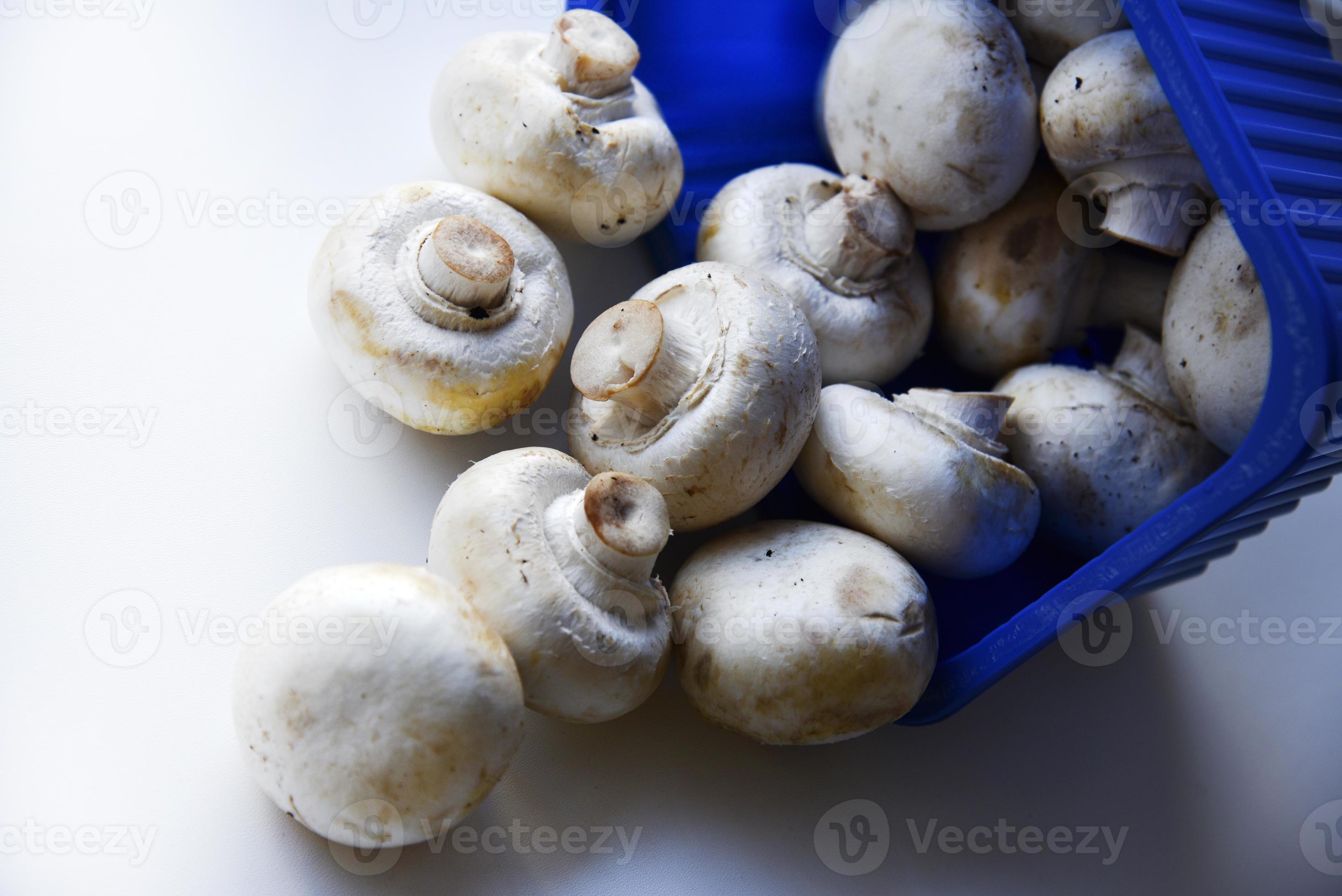 Dumped porcini mushrooms. A bunch of champignons collapsed from the