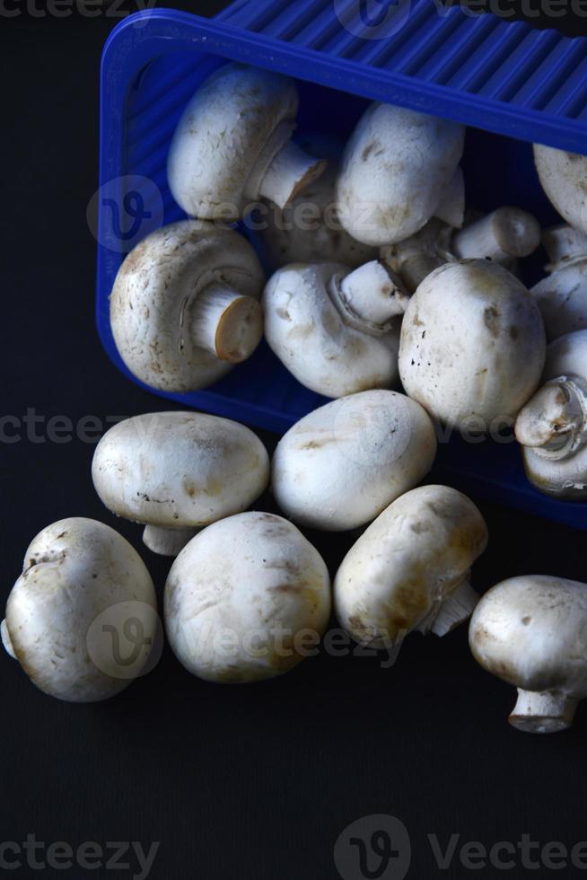 champiñones porcini tirados. un montón de champiñones se derrumbó del embalaje. champiñones dispersos sobre un fondo negro. foto