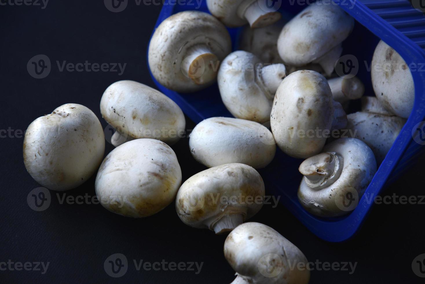 champiñones porcini tirados. un montón de champiñones se derrumbó del embalaje. champiñones dispersos sobre un fondo negro. foto