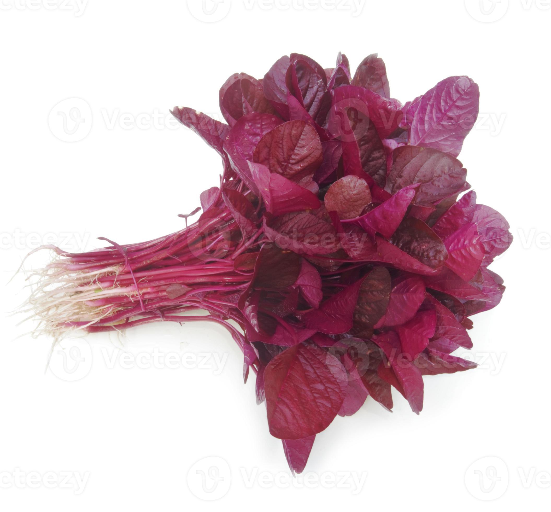 Fresh red spinach isolated on white background 15133769 Stock Photo at