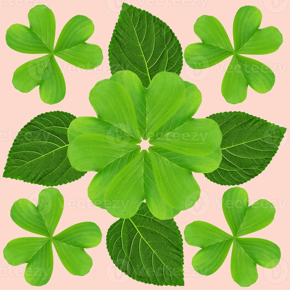 tropical exotic plant leaf,seamless background for textile and fabric design photo